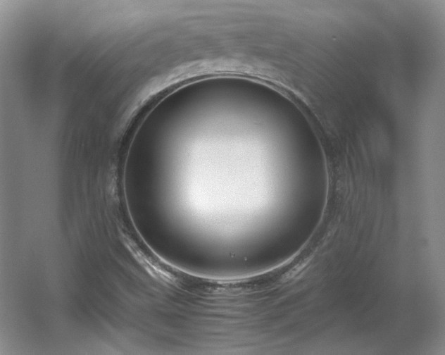 X0000066001499200603061310