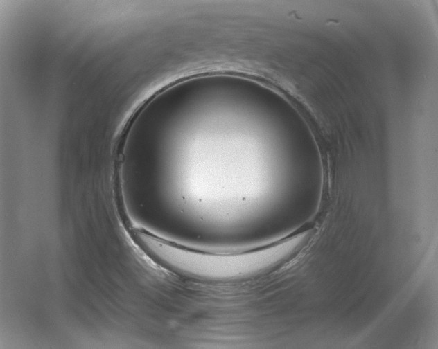 X0000066001500200603061310