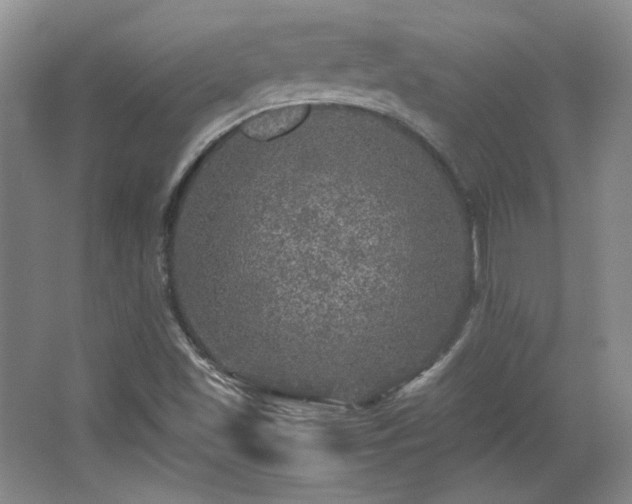 X0000066001501200603061310