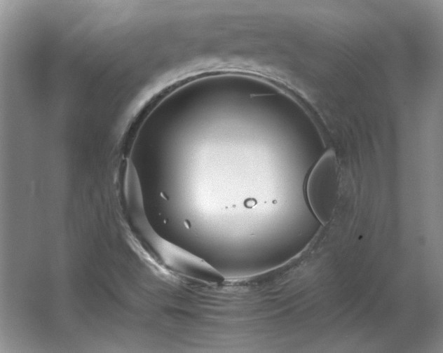 X0000066001503200603061310