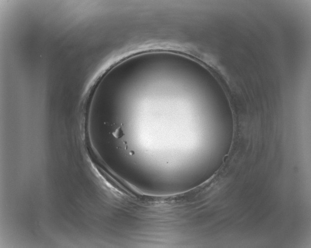 X0000066001504200603061310