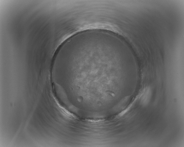 X0000066001505200603061310