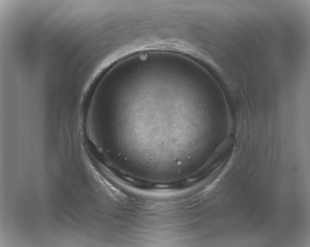 X0000066001506200603061310