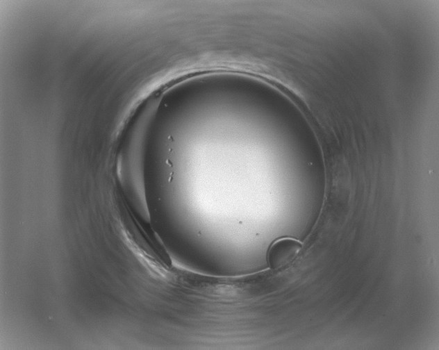 X0000066001507200603061310