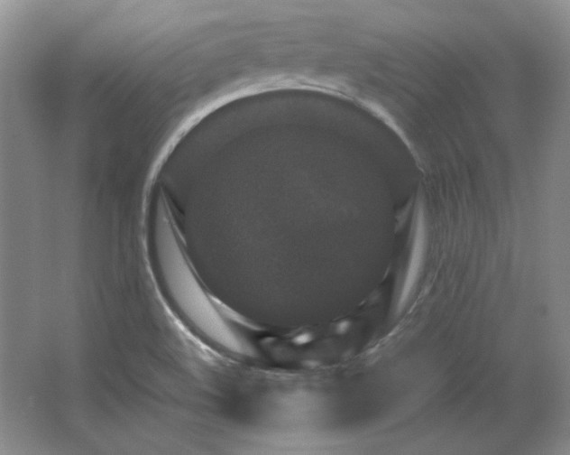 X0000066001508200603061310