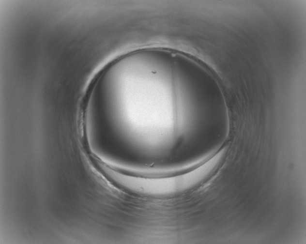 X0000066001510200603061310