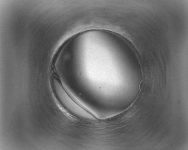 X0000066001511200603061310