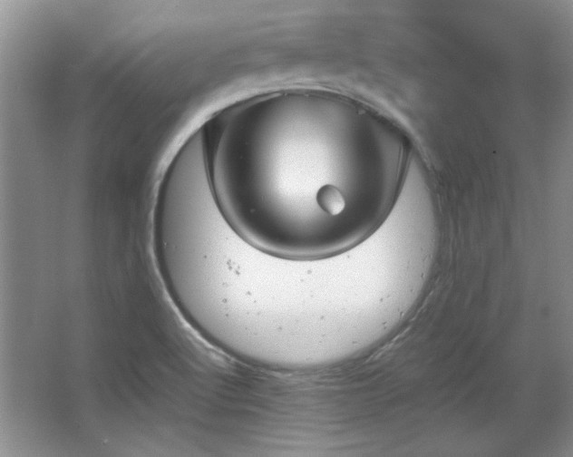 X0000066001512200603061310