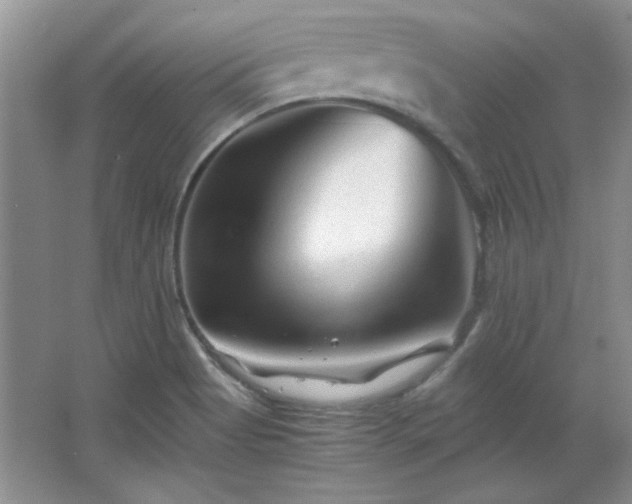 X0000066001513200603061310