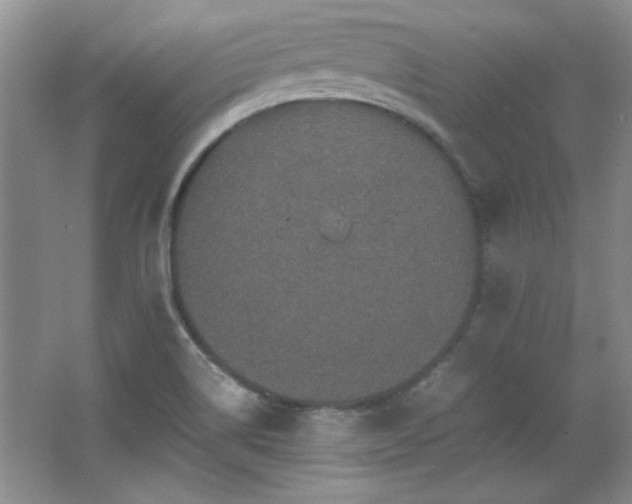 X0000066001514200603061310