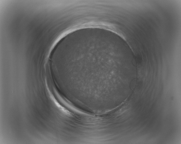 X0000066001515200603061310