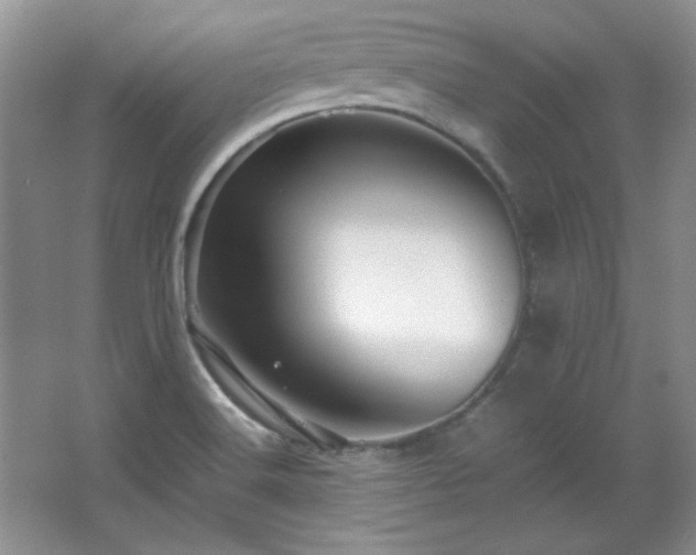 X0000066001516200603061310