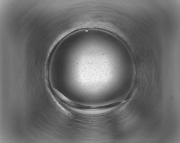 X0000066001517200603061310