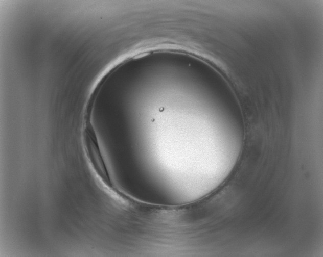 X0000066001518200603061310