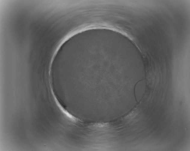 X0000066001519200603061310