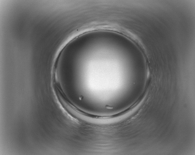 X0000066001520200603061310