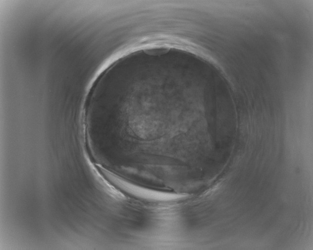 X0000066001522200603061310