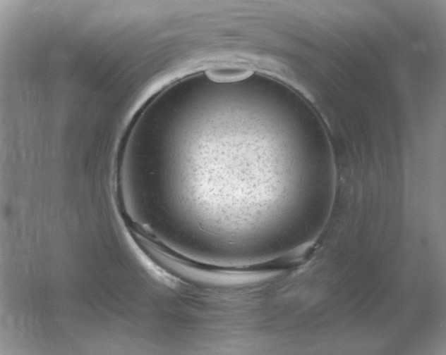 X0000066001523200603061310