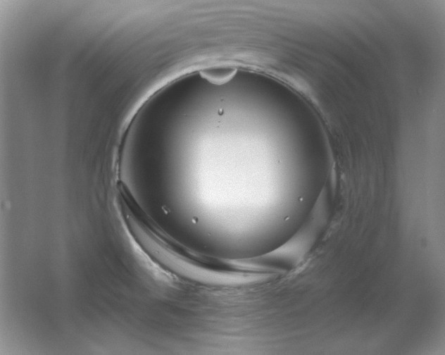 X0000066001524200603061310