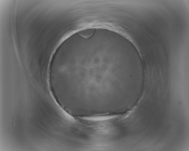 X0000066001525200603061310