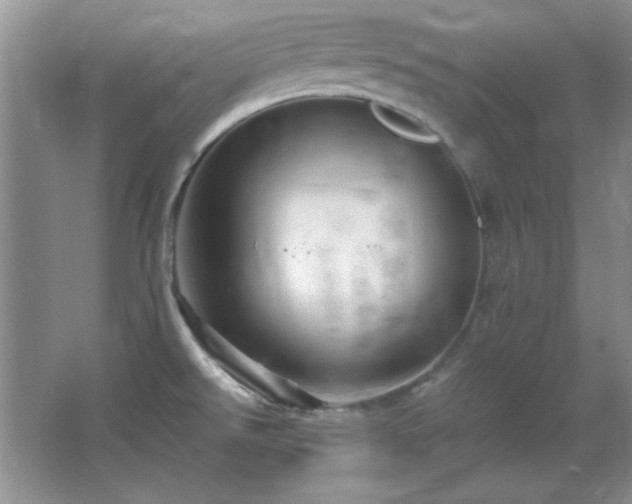 X0000066001526200603061310