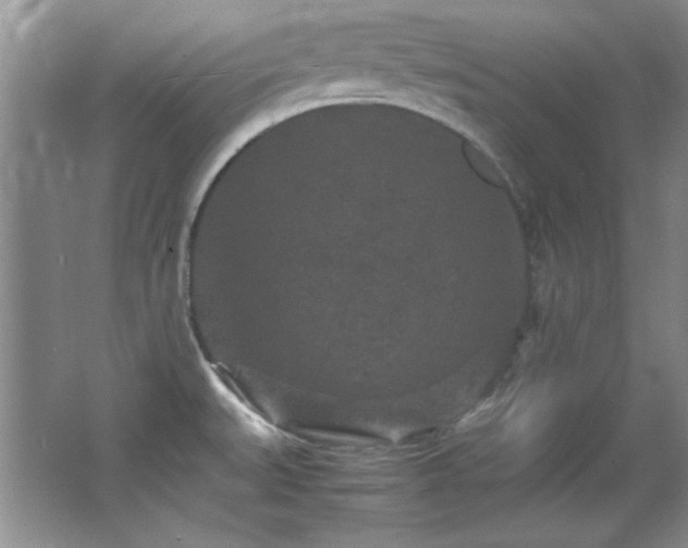 X0000066001527200603061310