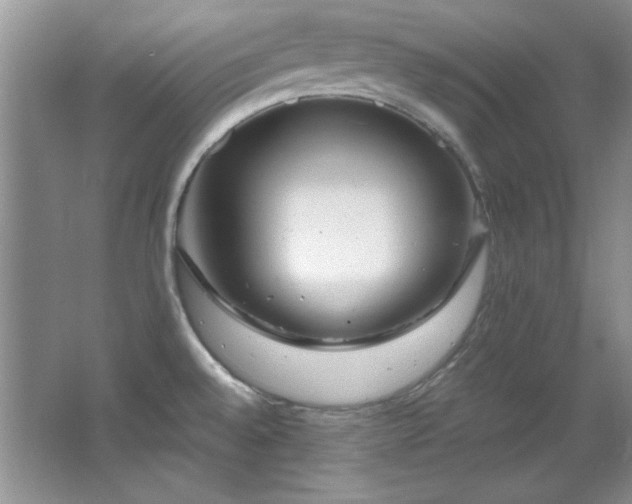 X0000066001528200603061310