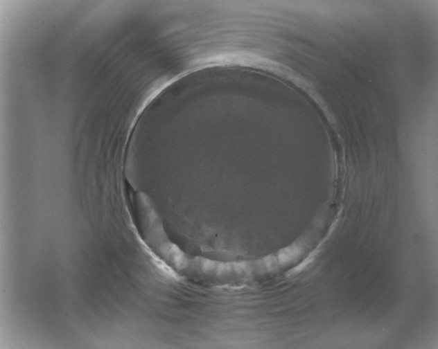 X0000066001529200603061310