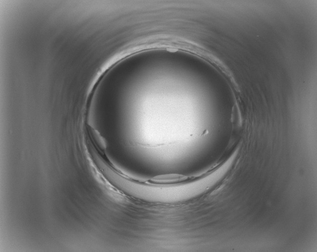 X0000066001530200603061310