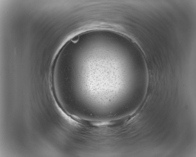 X0000066001531200603061310