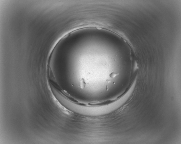 X0000066001532200603061310