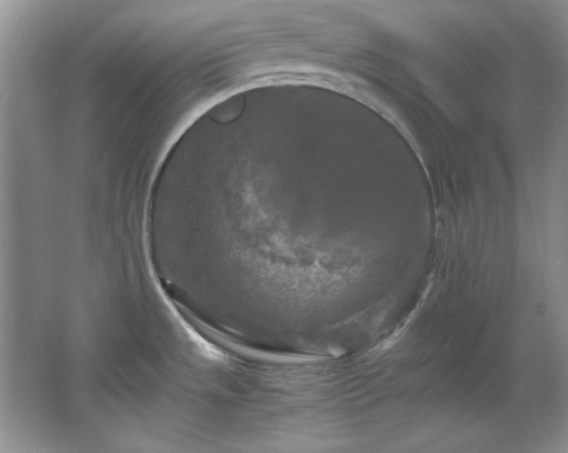 X0000066001533200603061310