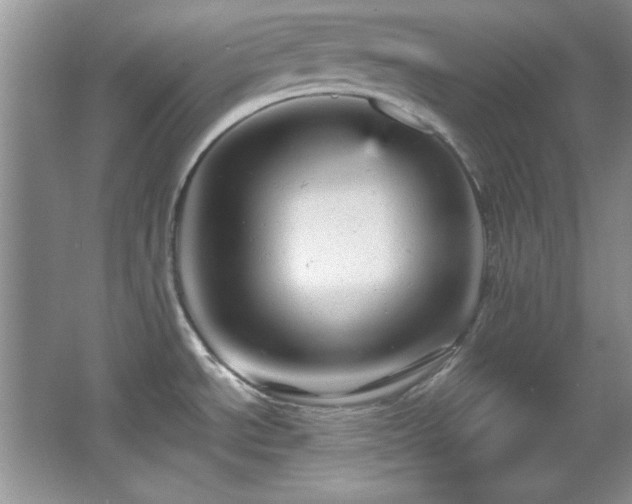 X0000066001534200603061310