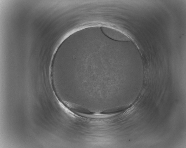 X0000066001535200603061310