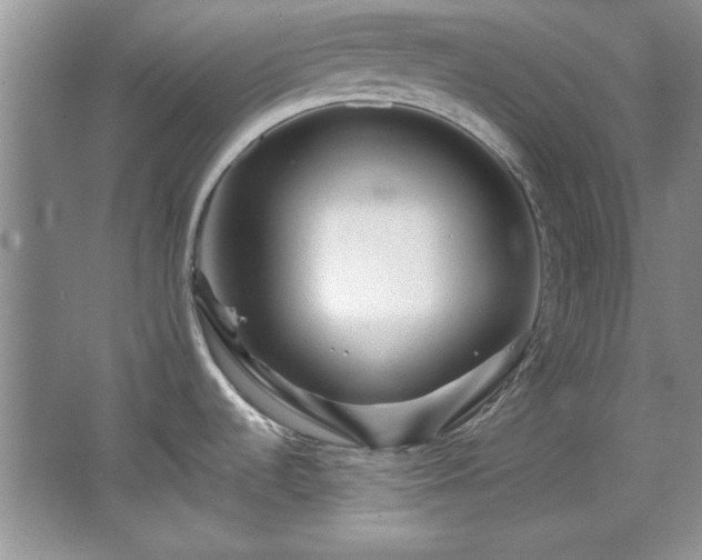 X0000066001536200603061310