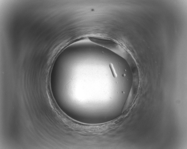 X0000066000001200603101543