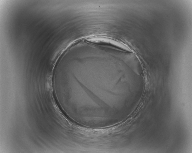 X0000066000002200603101543