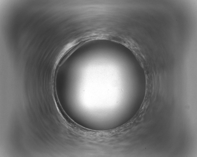 X0000066000003200603101543