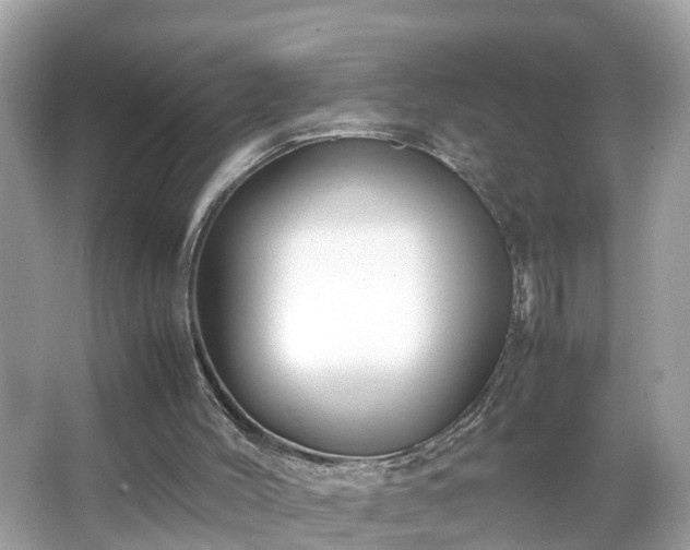 X0000066000004200603101543