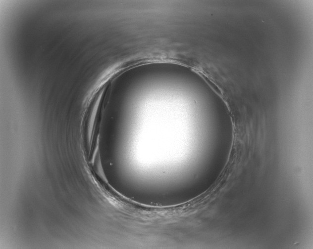 X0000066000005200603101543