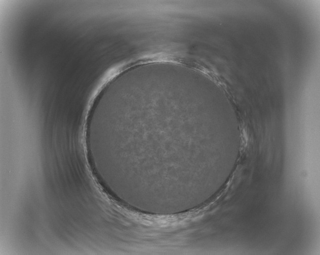 X0000066000006200603101543