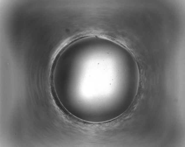 X0000066000007200603101543