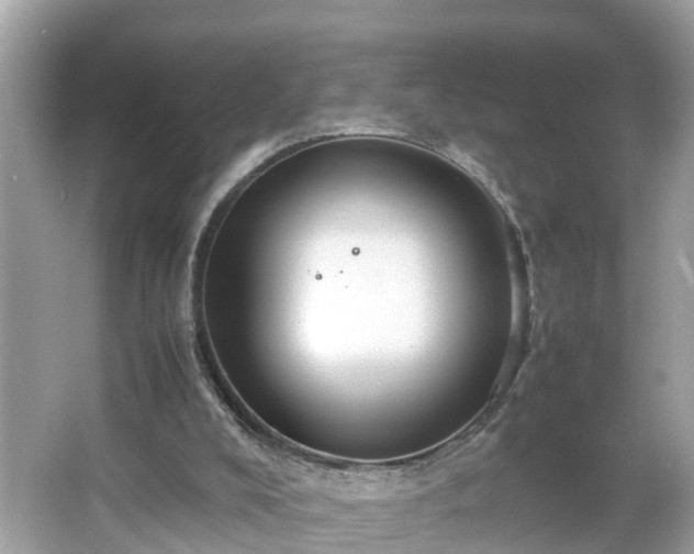 X0000066000008200603101542