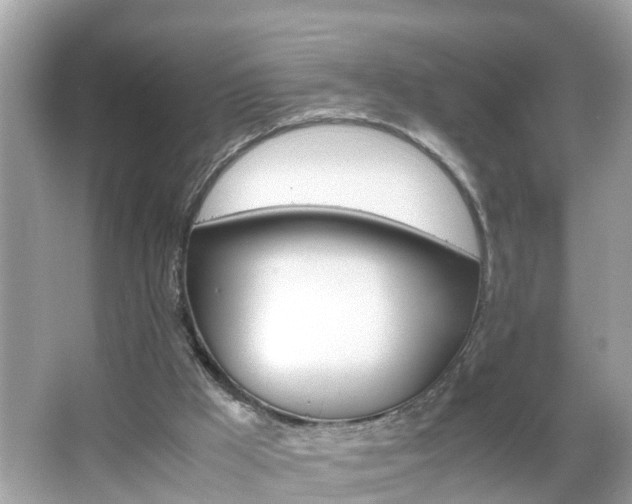 X0000066000009200603101542