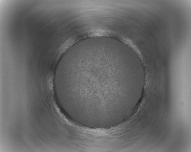 X0000066000010200603101542