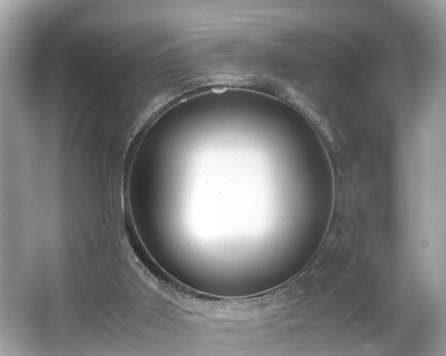 X0000066000011200603101542