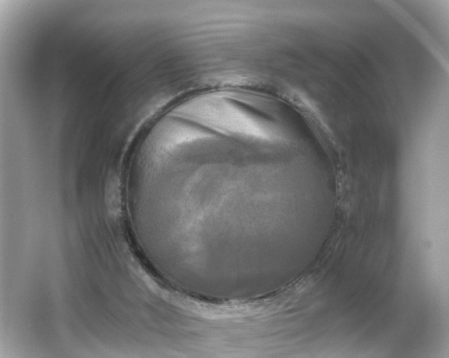 X0000066000012200603101542