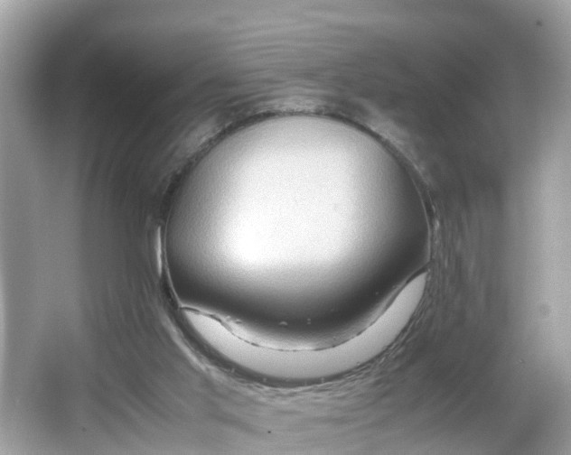 X0000066000013200603101542