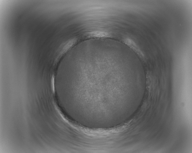 X0000066000014200603101542