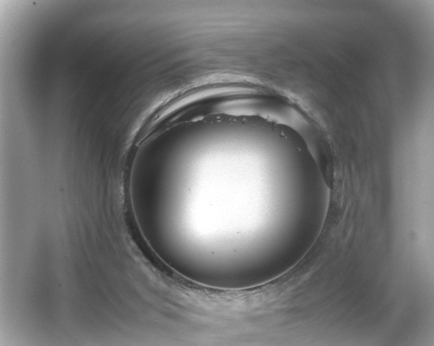 X0000066000015200603101542